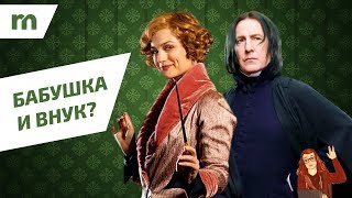 ТЕОРИЯ
