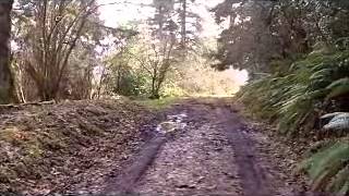 preview picture of video 'MLS 12176393 - S Henrici RD, Oregon City, OR'