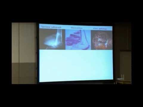 5th HOPE Meeting_Prof. Mario Renato CAPECCHI