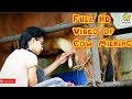 Cow Milking By Hand Engineer Girl Milking Cow By Hands ZORKO ZORKO INDIA Zorko Zorkoindia