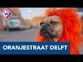 EK VOETBAL - 'Als ze scoren, ren ik naar buiten'- OMROEP WEST