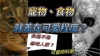 Re: [閒聊] FPX為什麼不會養上路打法