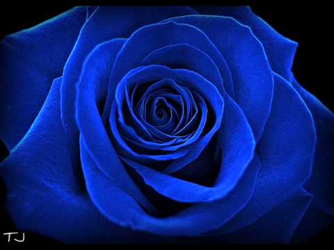 andreea balan si laurentiu duta un vis frumos mai stai