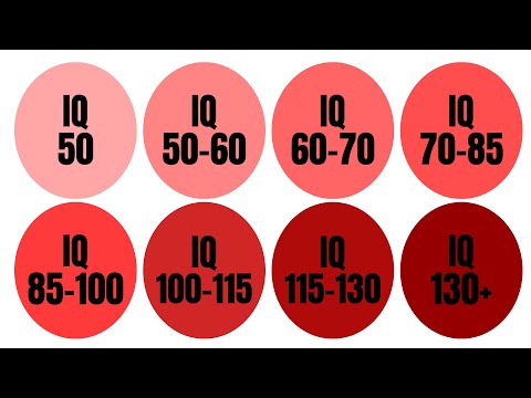 Ich erkläre die Intelligenzstufen in 4 Minuten