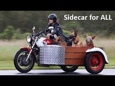 bike and sidecar