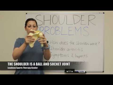 WHITEBOARD WEDNESDAY: What makes our shoulders work?