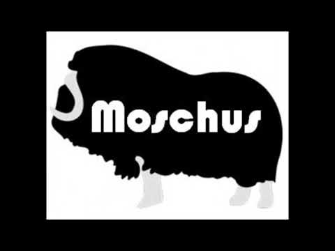 MOSCHUS - Española - OX