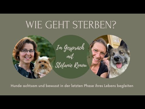 Tierkommunikation – 🐾 Wenn das Leben zu Ende geht... ✨