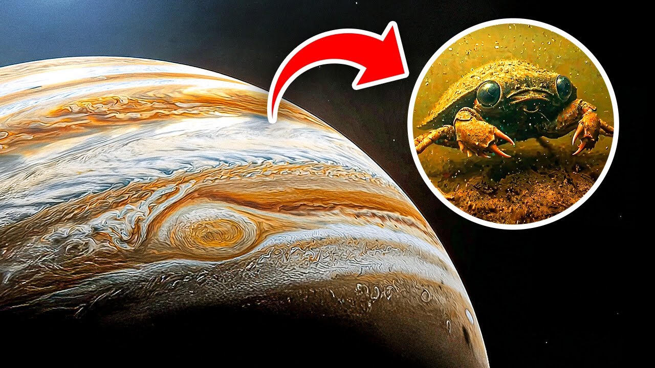 Scientists Explained What Life on Jupiter Could Look Like