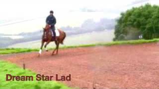 preview picture of video 'Dream Star Lad from Exmoor Eventing'