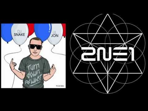 DJ Snake ft. Lil Jon/2ne1 - Turn Down for What/MTBD (Remix)
