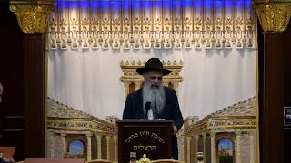 הרב מאיר דוד שמואלי שליט"א - שידור חי יום ד' - פרשת במדבר תשפ"ו