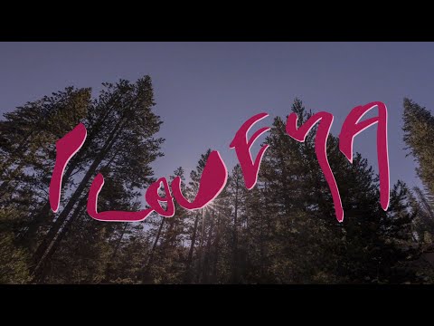 Shoffy - love ya (Lyric Video)