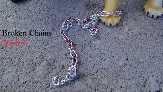 Broken Chains Episode 1: The Dangerous Prisoner (Schleich Cat Movie)