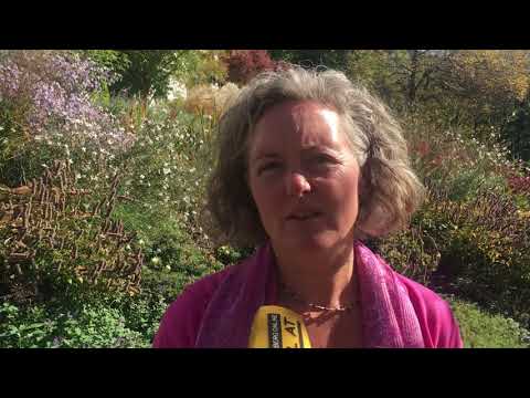 "Berührung mit der Welt": Hebamme und Sterbeamme zu Gast in Arbogast