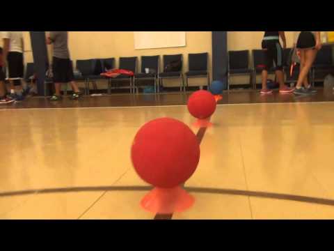 TGIF Summer Sports Challenge 2015 - Volleyball/Dodgeball