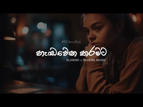 හැඩවෙන තරමට - Hendawena Tharamata slowed and reverb sinhala songs playlist- #slowedandreverb #songs