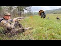 I CAN T BELIEVE This Happened Turkey Hunting Gobbler At 10 Yards