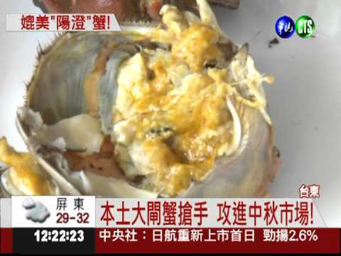 "成功"大閘蟹! 鮮美肉質好搶市