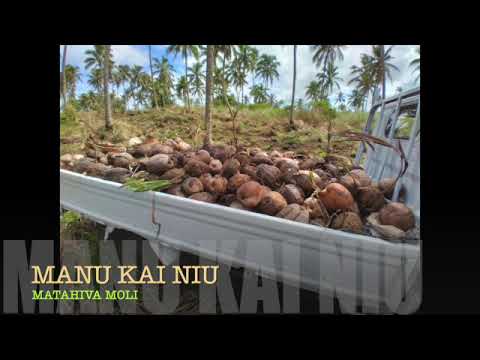 MANU KAI NIU[matahiva moli
