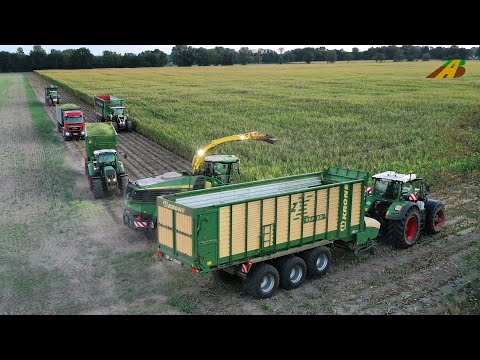 Großeinsatz Maishäckseln 2022 Maisernte Lohnunternehmen Landwirtschaft Silomais farmer corn harvest