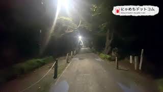 青山霊園 心霊スポット 行ってみた。 ウルトラワイド版