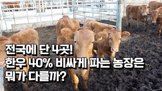 한우 40% 비싸게 파는 농장은 뭐가 다를까?