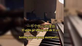 Download lagu yi qian ge shang xin de li you ( 一千个伤心的理由 /karaoke  terjemahan indo/pinyih mp3