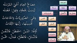 17شرح النظم الصغير في أصول الفقه - نظم وشرح/ عامر بهجت image