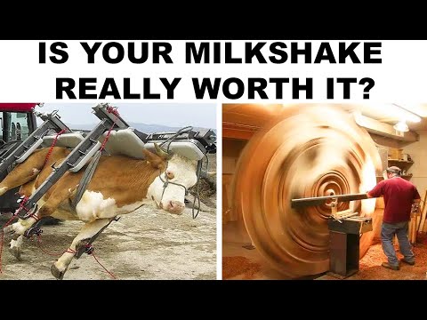 memes that are pure comedy