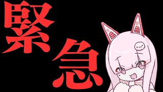 【緊急雑談】高級機材が配信中にぶっ壊れたｗｗｗｗ