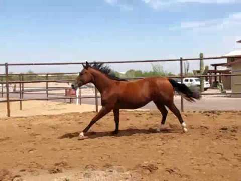 Nic It In The Bud x Light The Stars