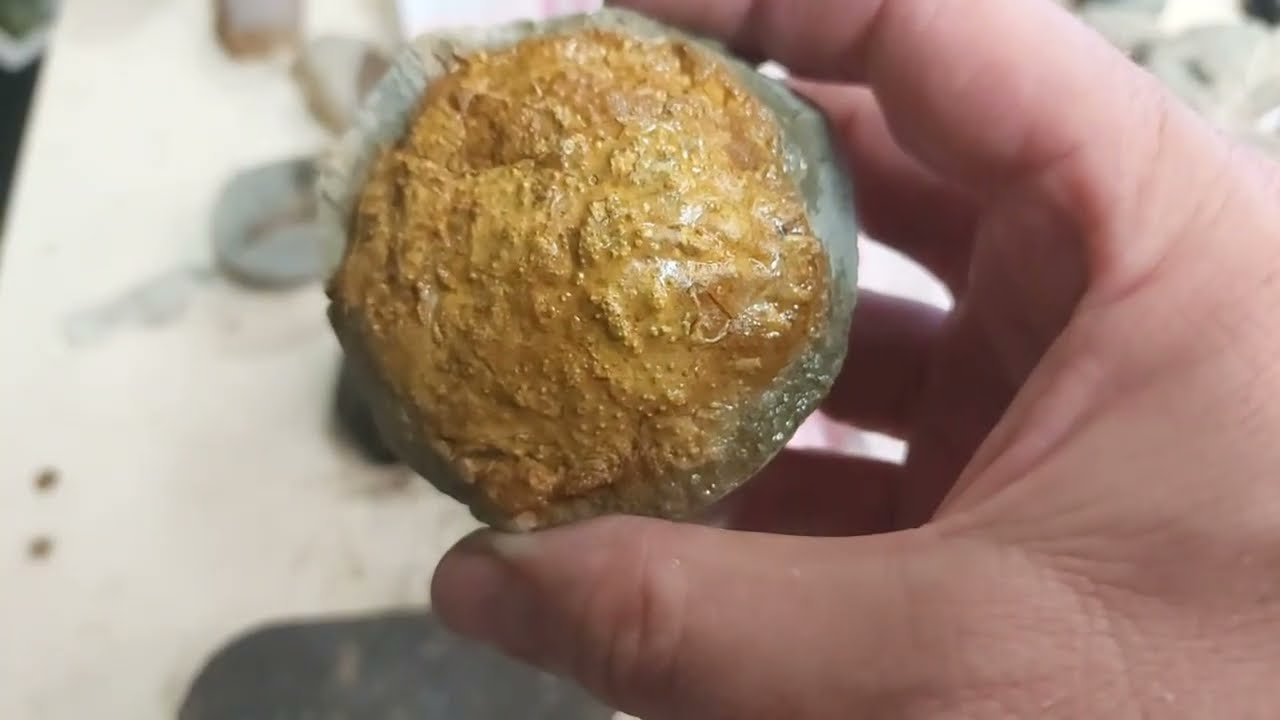 Packing fossils to send away [248 sent]