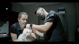 Vet216 Koşuyolu Veteriner Kliniği - 24 Saat Açık Acil Nöbetçi Veterine