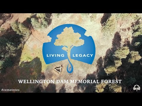 Wellington Dam Memorial Forest