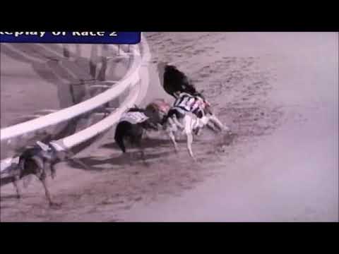 Good Friday 2019 Open Races Trap 2   Droopys Live