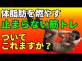 バックランジを封印!体脂肪を燃やす!上半身サーキット!#一緒にやってみよう! Upper body circuit training 腹筋 お腹引き締め 自宅トレーニング