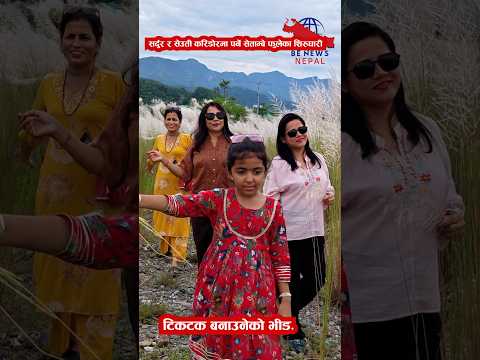 सर्दुर र सेउती करिडोरमा पर्ने सेताम्बे फुलेका शिरुघारी .........
