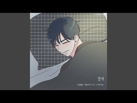카더가든 - 밤새 (취향저격 그녀) album art