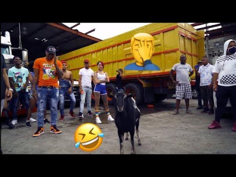 EL MEGA FT ANDY PM - LA GRASA (VÍDEO REACCIÓN)