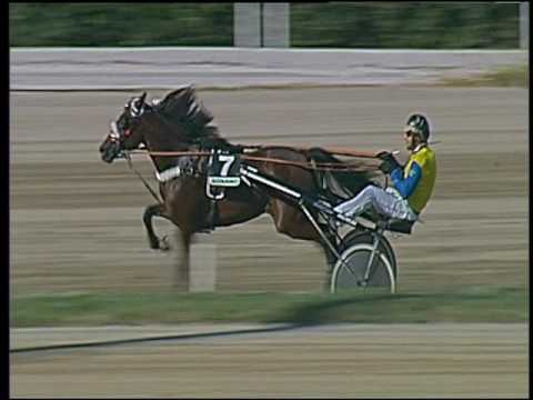 Trotto 30/09/2016 - 1ª corsa