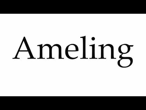 How to Pronounce Ameling
