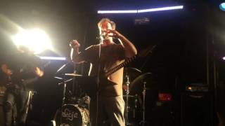 Dorje White Dove with game of thrones theme