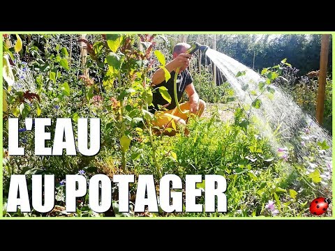 BIEN ARROSER SON POTAGER
