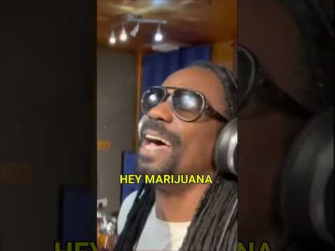 💚💛❤️ General Levy - Maccarena Lyrics