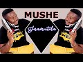 Mushe 2021 single finally out (2021 single)
