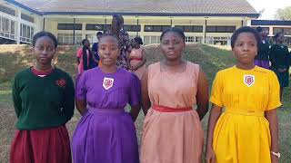 Student Reflection Video Link