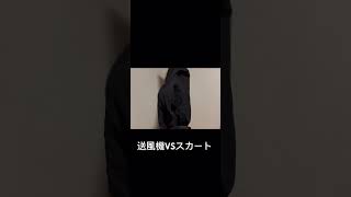 これが送風機の威力！ #強風 #スカート #short