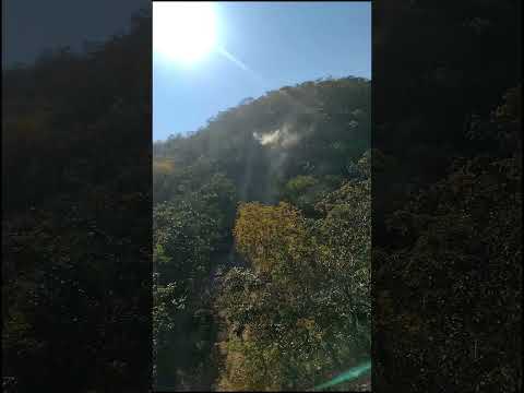 trilha nível master nova aurora Go