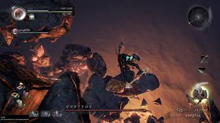仁王_即死バグ？